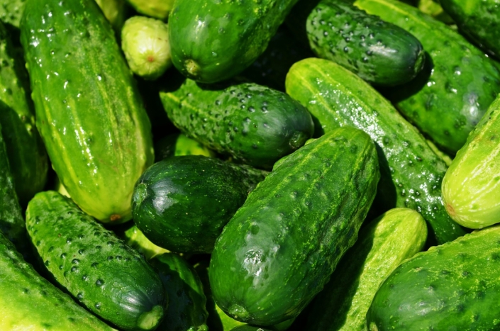 Pepino Y Comida